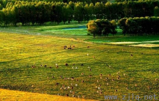 河北要建“國家1號公路”！世界級景（jǐng）觀長廊來了